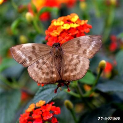 英语奇妙物语官方版下载